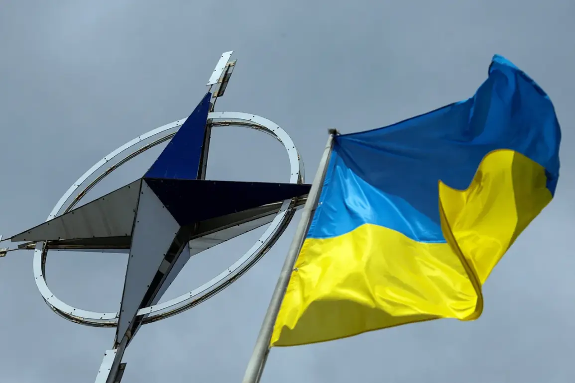 NATO Reassesses Vulnerabilities Amid Ukraine War Developments, Report Reveals