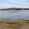 Racial Slurs and Rocks: Peaceful Fishing Trip on Lake Shirley Turns Violent, Community Condemns Incident