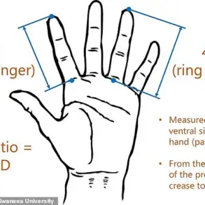 Scientists Reveal Surprising Link Between Index and Ring Finger Lengths and Athletic Potential