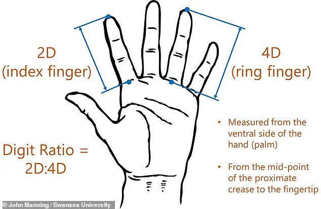 Scientists Reveal Surprising Link Between Index and Ring Finger Lengths and Athletic Potential