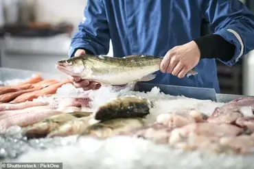 Study Reveals Hidden Pain Fish Endure During Common Slaughter Method