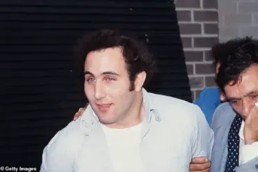 Summer of 1977: Power Outage and Economic Crisis Lead to Widespread Chaos in New York City