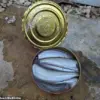 The Stench of Tradition: Surströmming's Journey from 16th-Century Sweden to Social Media Challenges