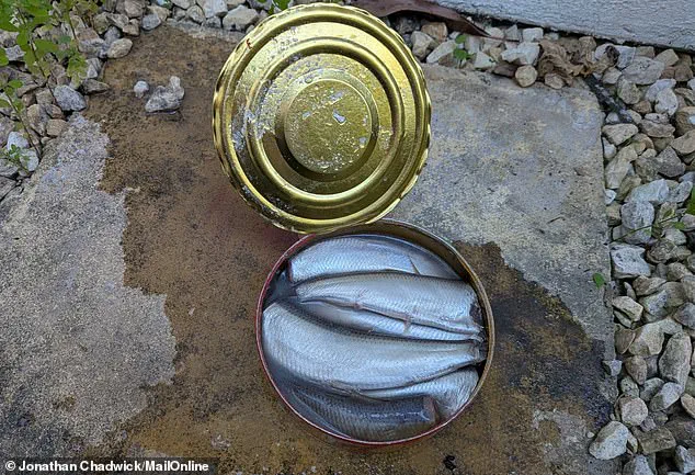 The Stench of Tradition: Surströmming's Journey from 16th-Century Sweden to Social Media Challenges