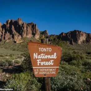 Urgent Investigation Underway After Suspicious Deaths of Two Teenagers in Tonto National Forest