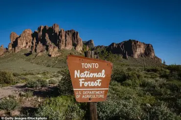 Urgent Investigation Underway After Suspicious Deaths of Two Teenagers in Tonto National Forest