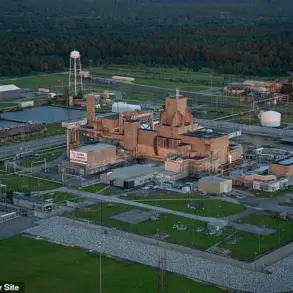 Alarming Discovery: Radioactive Wasp Nest Found at South Carolina Nuclear Site, Raising Cold War Contamination Concerns