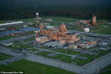 Alarming Discovery: Radioactive Wasp Nest Found at South Carolina Nuclear Site, Raising Cold War Contamination Concerns