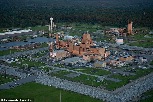 Alarming Discovery: Radioactive Wasp Nest Found at South Carolina Nuclear Site, Raising Cold War Contamination Concerns