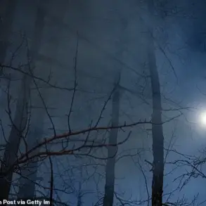 Alaskan Teen Kidnapped by David Anderson Survives Harsh Wilderness Ordeal