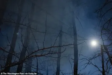 Alaskan Teen Kidnapped by David Anderson Survives Harsh Wilderness Ordeal