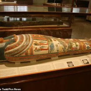Ancient Egyptian Priestess Meresamun's Face Revealed After 2,800 Years Through Modern Reconstruction