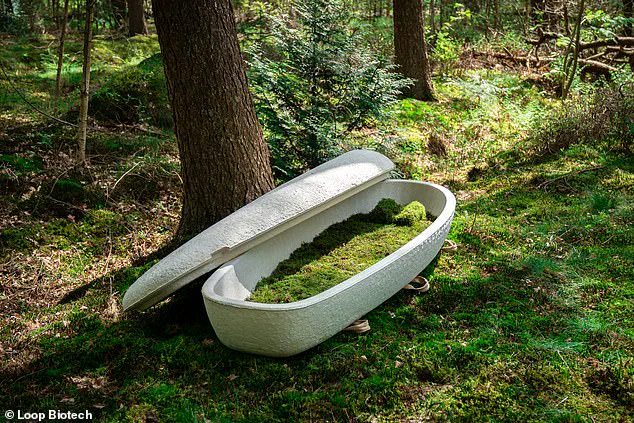 Biodegradable Coffin Innovation Offers Eco-Friendly Burial Alternative