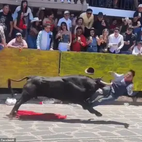 Bullfighter Injured in Violent Arena Collision at Xico Festival