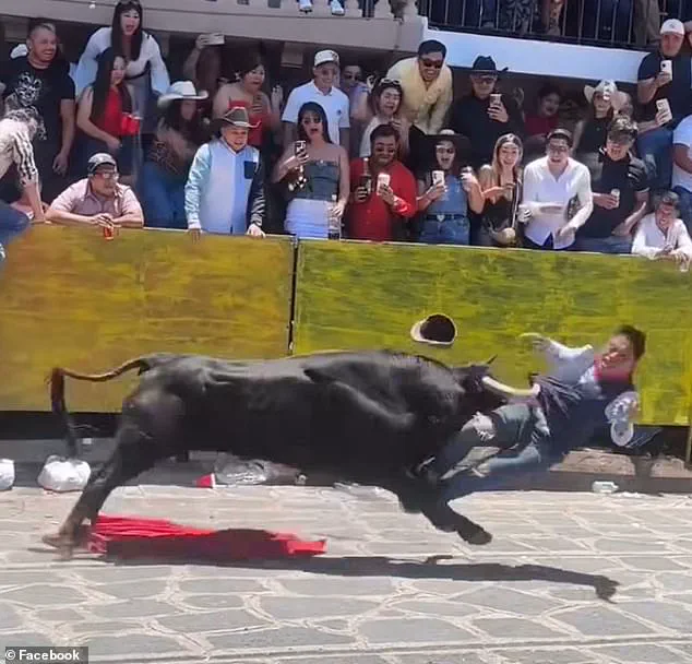 Bullfighter Injured in Violent Arena Collision at Xico Festival