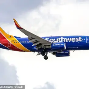 Conservative Activist Alex Stein's Airport Confrontation Over Cancelled Flight Sparks Controversy