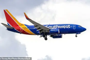 Conservative Activist Alex Stein's Airport Confrontation Over Cancelled Flight Sparks Controversy