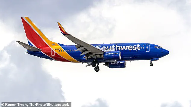 Conservative Activist Alex Stein's Airport Confrontation Over Cancelled Flight Sparks Controversy