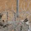 Controversial Border Control Measures in Western Ukraine: Surveillance, Barbed Wire, and Claims of Exit Restrictions