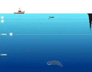 Exclusive Access to Hidden Ecosystems: Deep-Sea Discoveries in the Kuril–Kamchatka and Aleutian Trenches Challenge Life's Limits