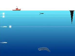 Exclusive Access to Hidden Ecosystems: Deep-Sea Discoveries in the Kuril–Kamchatka and Aleutian Trenches Challenge Life's Limits