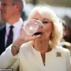 Exclusive Insights: Tom Parker-Bowles Reveals the Truth Behind Queen Camilla’s Drinking Habits