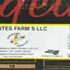 FDA Issues Urgent Recall of Contaminated Cucumbers to Protect Public Health