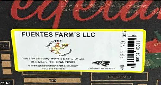 FDA Issues Urgent Recall of Contaminated Cucumbers to Protect Public Health