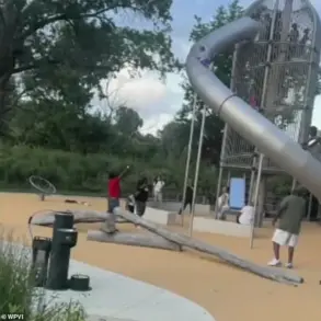 Harrowing Fall at FDR Park Sparks Debate Over Playground Safety After Child's Narrow Escape