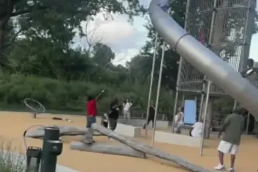 Harrowing Fall at FDR Park Sparks Debate Over Playground Safety After Child's Narrow Escape