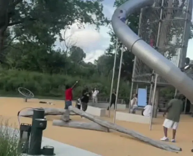 Harrowing Fall at FDR Park Sparks Debate Over Playground Safety After Child's Narrow Escape