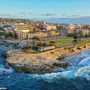 Iconic Beach Faces Desertion as Stench from Sea Lions and Seals Deters Visitors