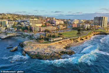 Iconic Beach Faces Desertion as Stench from Sea Lions and Seals Deters Visitors