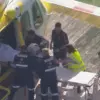 Lion Attack at Darling Downs Zoo Leaves Woman in Her 50s with Severe Injuries, Including Loss of Arm