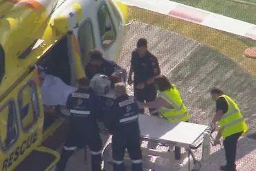 Lion Attack at Darling Downs Zoo Leaves Woman in Her 50s with Severe Injuries, Including Loss of Arm