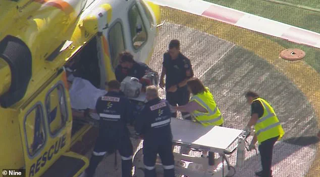 Lion Attack at Darling Downs Zoo Leaves Woman in Her 50s with Severe Injuries, Including Loss of Arm