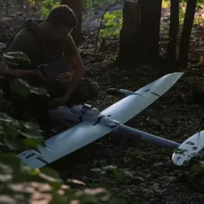 Moscow's Air Defense Systems Intercept Two Ukrainian Drones, Mayor Sobyanin Confirms