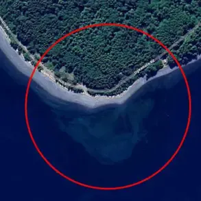 Mysterious Shape Spotted in Arctic Waters Sparks Debate on Cormorant Island