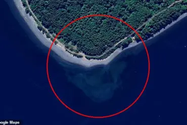 Mysterious Shape Spotted in Arctic Waters Sparks Debate on Cormorant Island