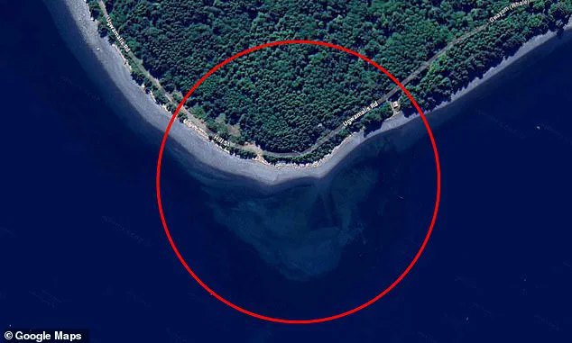 Mysterious Shape Spotted in Arctic Waters Sparks Debate on Cormorant Island