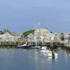 Neighbor Accused of Trespassing and Felling 50-Year-Old Trees in Nantucket Property Dispute