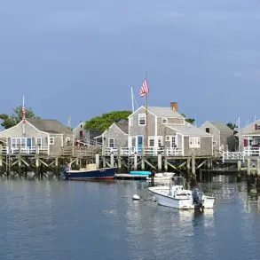 Neighbor Accused of Trespassing and Felling 50-Year-Old Trees in Nantucket Property Dispute