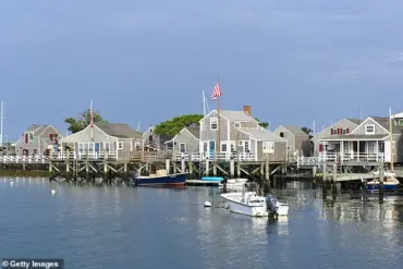 Neighbor Accused of Trespassing and Felling 50-Year-Old Trees in Nantucket Property Dispute