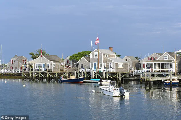 Neighbor Accused of Trespassing and Felling 50-Year-Old Trees in Nantucket Property Dispute