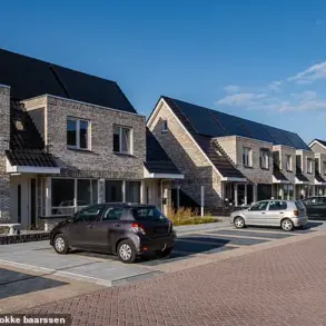 Netherlands Grid Crisis: Overload Hinders Decarbonization as Businesses Face Years-Long Delays