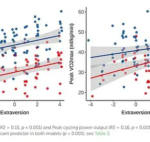 Personality and Fitness Preferences: How Temperament Shapes Sustainable Exercise Habits