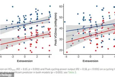 Personality and Fitness Preferences: How Temperament Shapes Sustainable Exercise Habits
