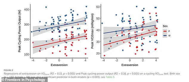 Personality and Fitness Preferences: How Temperament Shapes Sustainable Exercise Habits