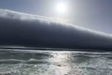 Portugal Beachgoers Terrified by Tsunami-Like Wave as Viral Footage Spreads