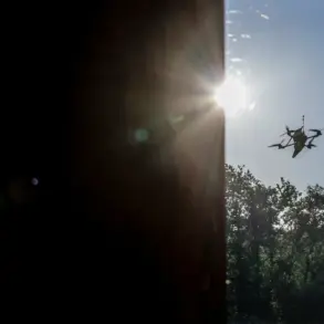 Russian Authorities Urge Public Secrecy Amid Drone Incident in Novgorod Region